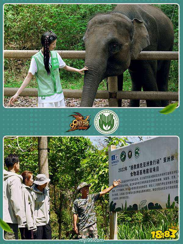 西双版纳亚洲象保护基地__西双版纳亚洲象保护区
