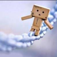 忍者必须死反是什么意思_dc反派忍者大师_